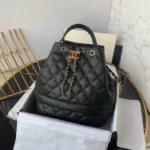 Chanel Women's Bag Size: 24cm Style: AS0769