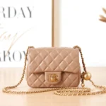Chanel Flap Bag Model Number: AS1786 Size: 17cm