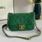 CHANEL Model: AS3473# Size: 13207cm