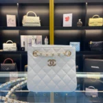 CHANEL One Shoulder Model Number: AS3176 Size: 16X15X9cm
